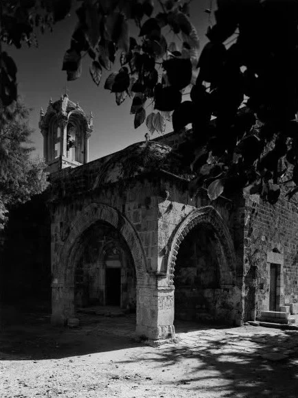 Black and white photograph of the baptistery and the bell tower, framed by dark leaves