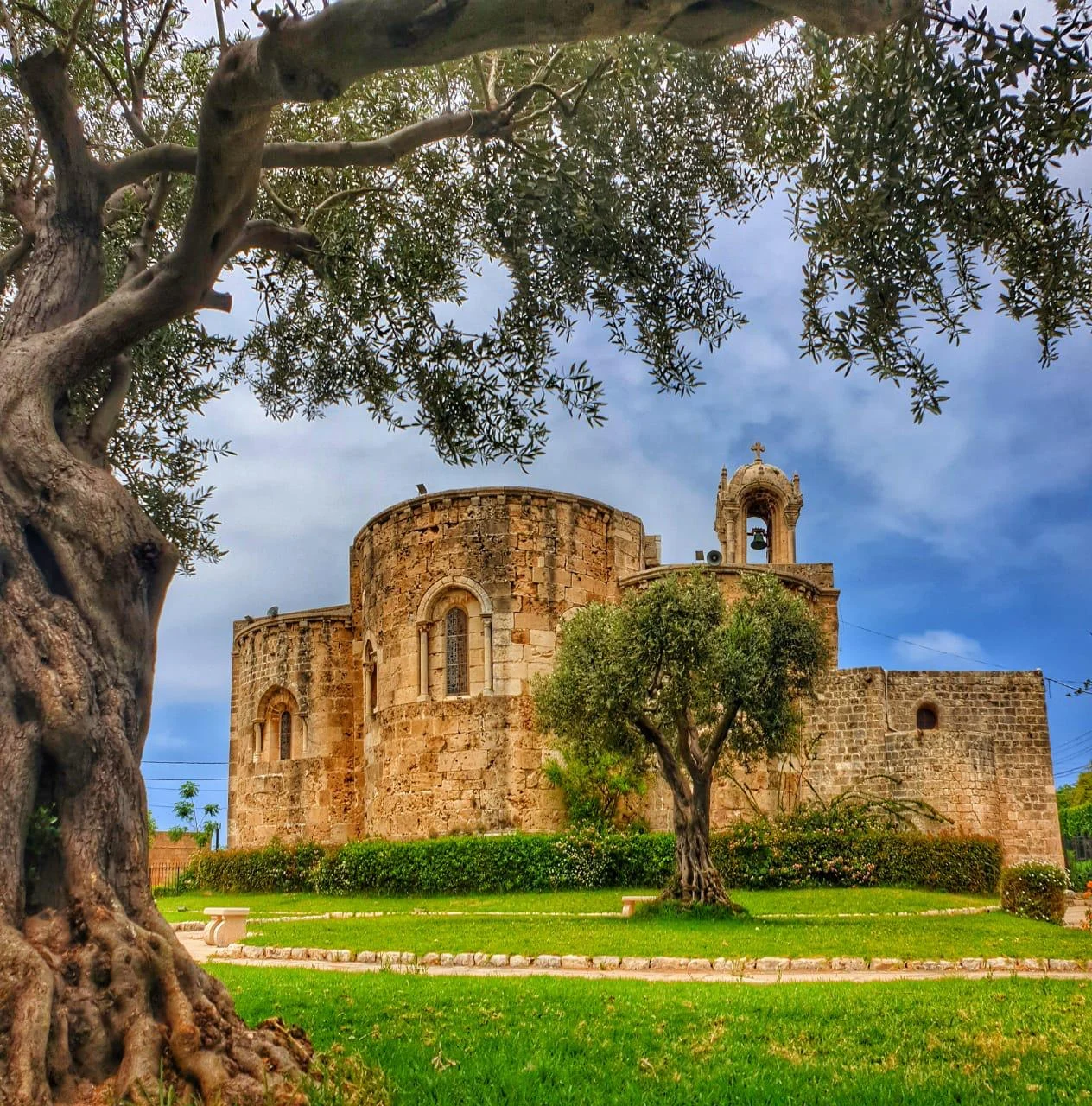 Saint John Mark behind an old olive tree